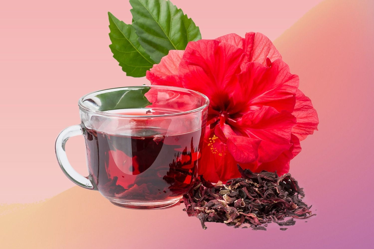 Hibiscus Tea