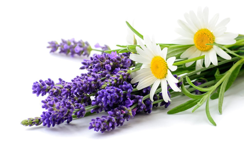 Lavender & Chamomile Body Oil