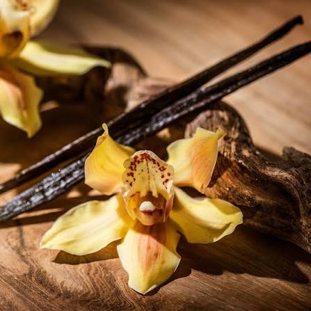 Vanilla Sandalwood Body Oil